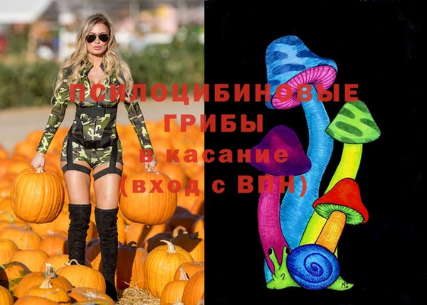 mix Горнозаводск